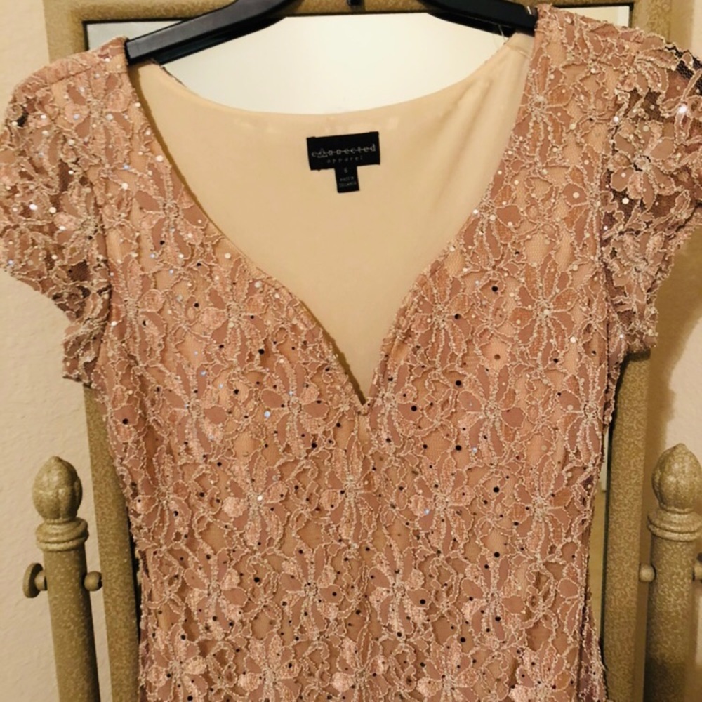 Beautiful Nude Sequined Gown